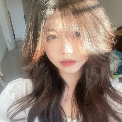史酷比:恐龙魅影 封面